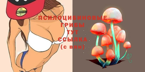 сатива Алексеевка