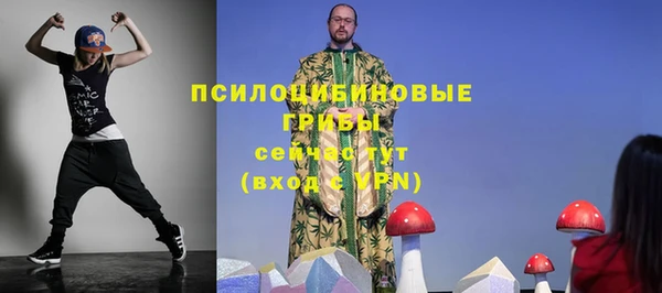 прущие крисы Алзамай