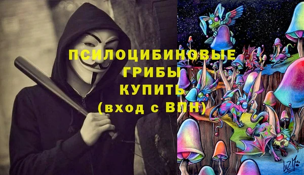 сатива Алексеевка