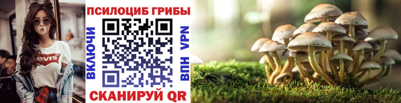 Псилоцибиновые грибы Psilocybine cubensis Апатиты
